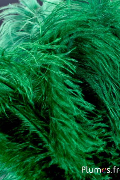 Struisvogel - 30-40 cm - mosgroen